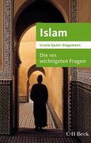 Die 101 wichtigsten Fragen - Islam de Ursula Spuler-Stegemann