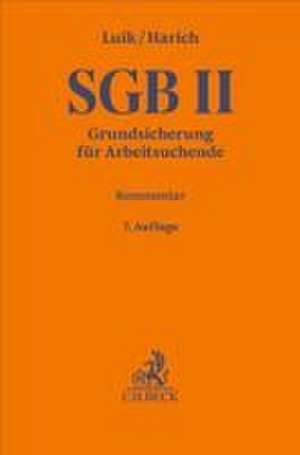 SGB II de Steffen Luik