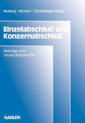 Einzelabschluß und Konzernabschluß: Beiträge zum neuen Bilanzrecht, Band 1 de Winfried Mellwig