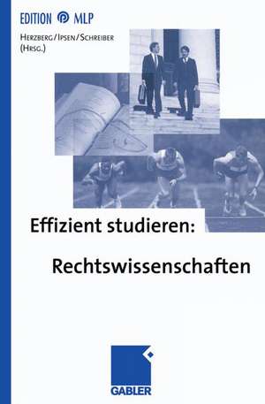 Effizient studieren: Rechtswissenschaften de Rolf-Dietrich Herzberg