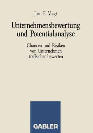 Unternehmensbewertung und Potentialanalyse: Chancen und Risiken von Unternehmen treffsicher bewerten de Jörn F. Voigt