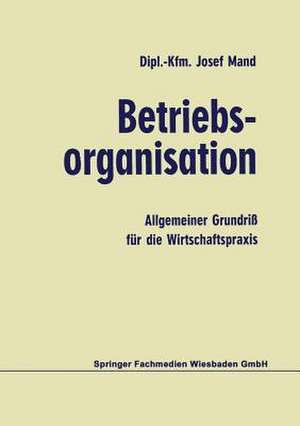 Betriebsorganisation: Allgemeiner Grundriß für die Wirtschaftspraxis de Josef Mand