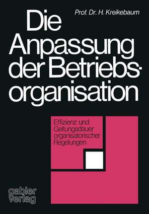 Die Anpassung der Betriebsorganisation: Effizienz und Geltungsdauer organisatorischer Regelungen de Hartmut Kreikebaum