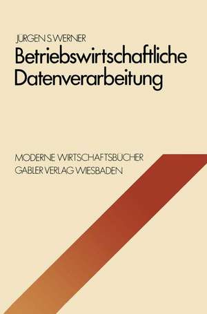 Betriebswirtschaftliche Datenverarbeitung: Systeme, Strukturen, Methoden, Verfahren, Entscheidungshilfen de Jürgen S. Werner