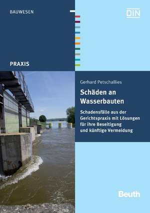 Schäden an Wasserbauten de Gerhard Petschallies