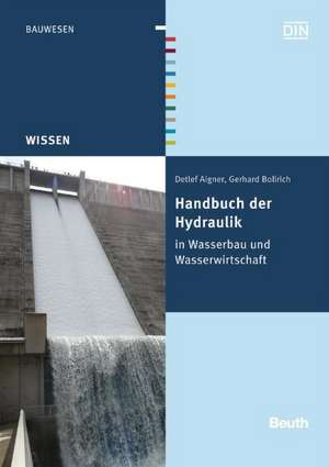 Handbuch der Hydraulik de Detlef Aigner