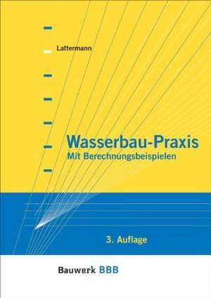 Wasserbau-Praxis de Eberhard Lattermann