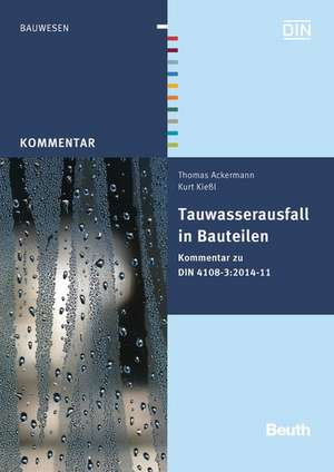 Tauwasserausfall in Bauteilen de Thomas Ackermann