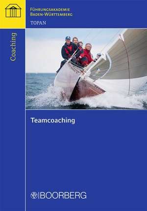 Teamcoaching de Angelina Topan