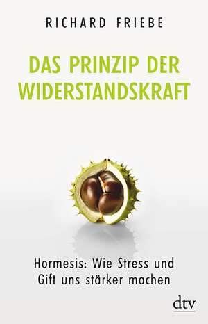 Das Prinzip der Widerstandskraft de Richard Friebe