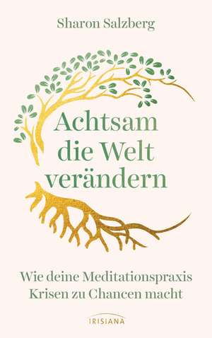 Achtsam die Welt verändern de Sharon Salzberg