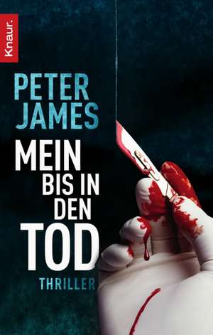 Mein bis in den Tod de Peter James