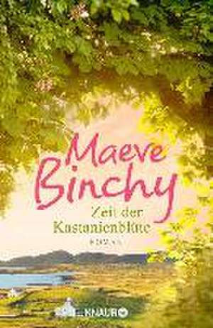 Zeit der Kastanienblüte de Maeve Binchy