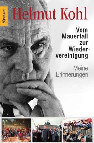 Vom Mauerfall zur Wiedervereinigung de Helmut Kohl