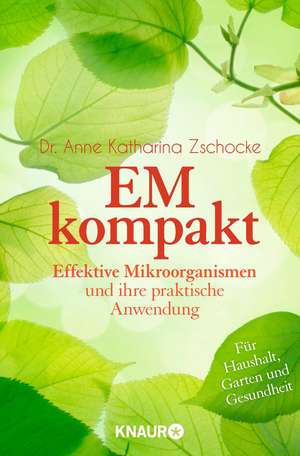 EM kompakt de Anne Katharina Zschocke