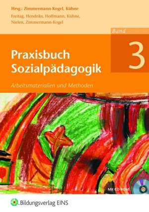 Praxisbuch Sozialpädagogik- Band 3 de Katrin Zimmermann-Kogel