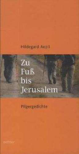 Zu Fuß nach Jerusalem de Hildegard Aepli