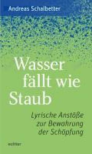 Wasser fällt wie Staub de Andreas Schalbetter