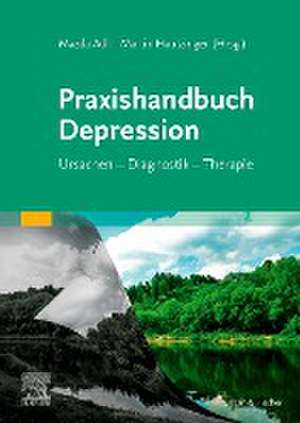 Praxishandbuch Depression de Mazda Adli