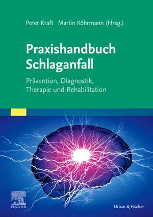 Praxishandbuch Schlaganfall de Peter Kraft