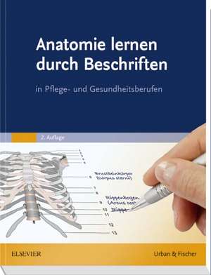 Anatomie lernen durch Beschriften