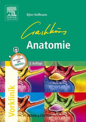 Crashkurs Anatomie de Björn Hoffmann