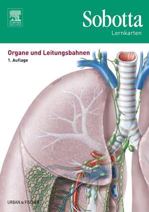 Sobotta Lernkarten Organe und Leitungsbahnen de Lars Bräuer