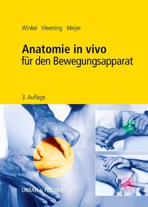 Anatomie in vivo für den Bewegungsapparat de Dos Winkel