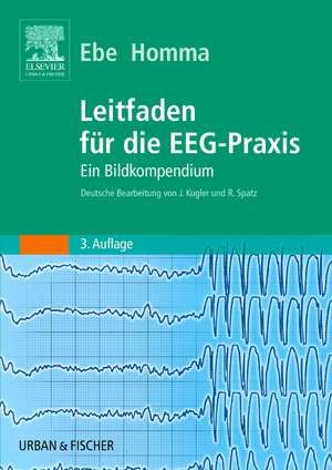 Leitfaden für die EEG-Praxis de Mitsura Ebe