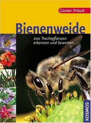 Bienenweide de Günter Pritsch