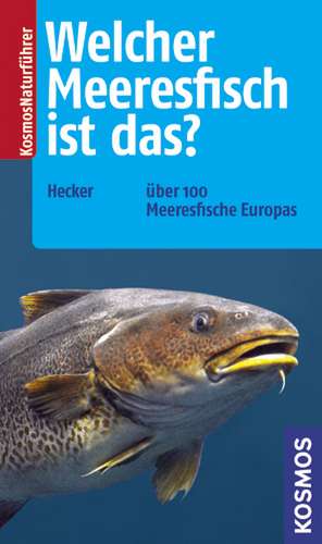 Welcher Meeresfisch ist das? de Frank Hecker