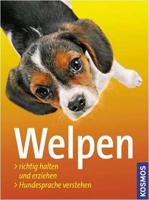 Welpen de Perdita Lübbe-Scheuermann