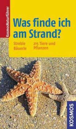 Was finde ich am Strand? de Heinz Streble