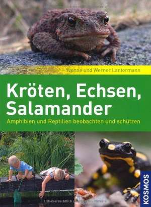 Kröten, Echsen, Salamander de Yvonne Lantermann