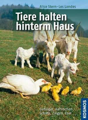 Tiere halten hinterm Haus de Alice Stern-Les Landes