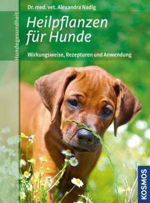 Heilpflanzen für Hunde de Alexandra Nadig