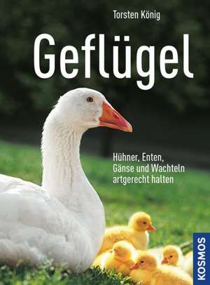 Geflügel de Torsten König