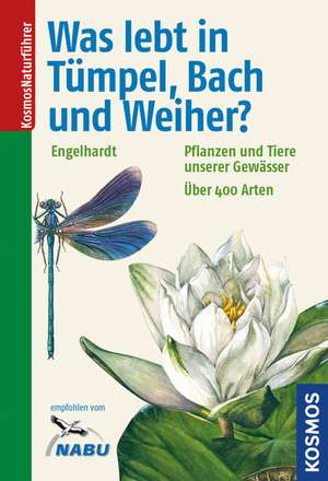 Was lebt in Tümpel, Bach und Weiher? de Wolfgang Engelhardt