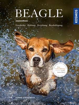 Beagle de Sophie Strodtbeck