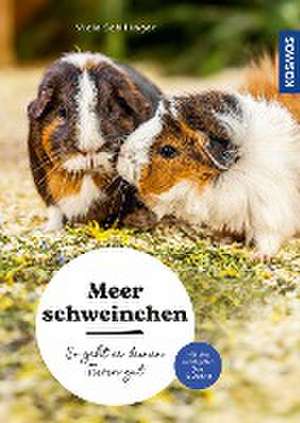 Meerschweinchen de Viola Schillinger