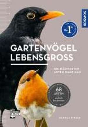 Gartenvögel lebensgroß de Daniela Strauß