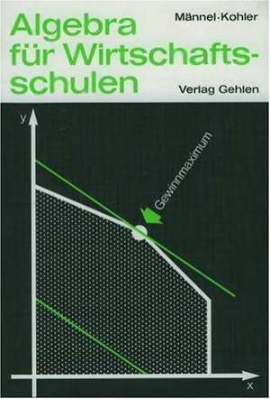 Algebra für Wirtschaftsschulen. Schulbuch de Markus Heisterkamp