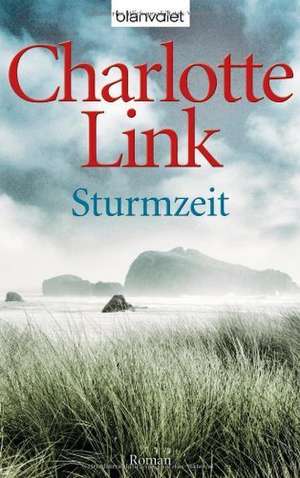 Sturmzeit de Charlotte Link