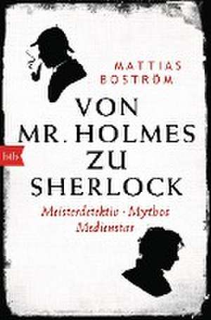 Von Mr. Holmes zu Sherlock de Mattias Boström