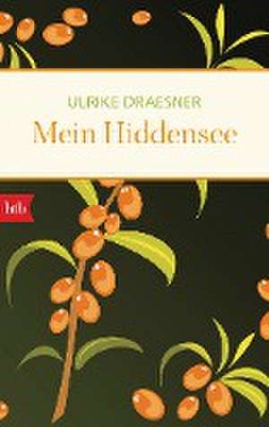 Mein Hiddensee de Ulrike Draesner