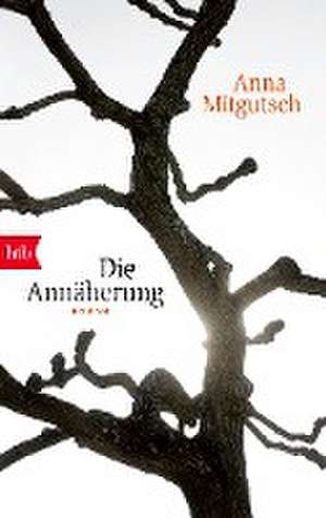 Die Annäherung de Anna Mitgutsch