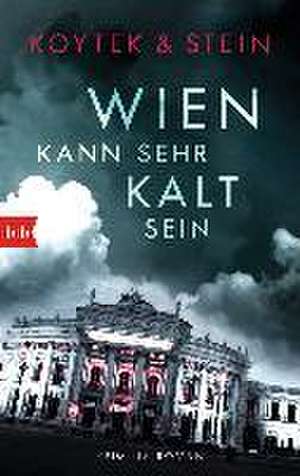 Wien kann sehr kalt sein de Georg Koytek