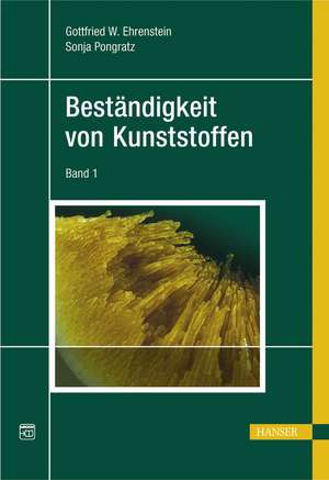 Beständigkeit von Kunststoffen de Gottfried Wilhelm Ehrenstein