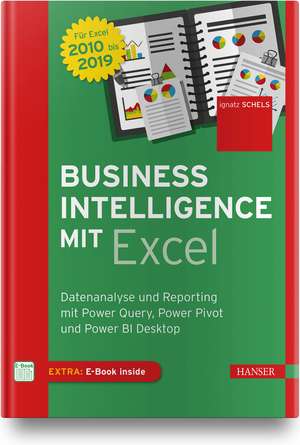 Business Intelligence mit Excel de Ignatz Schels