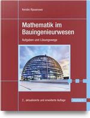 Mathematik im Bauingenieurwesen de Kerstin Rjasanowa